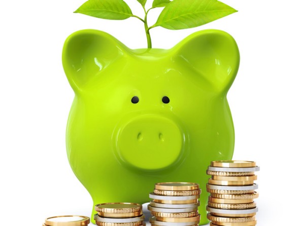 Sparschwein mit Geld