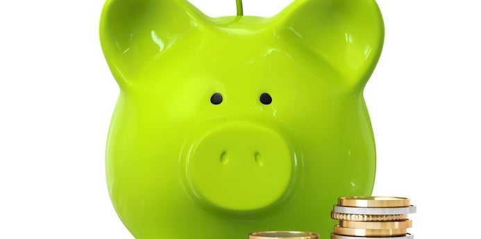 Sparschwein mit Geld