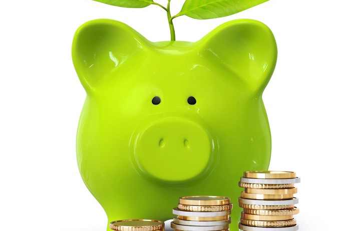 Sparschwein mit Geld